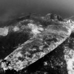 Ju 87 Stuka Adria Zrije diving búvár Horvátország Croatia plane wreck