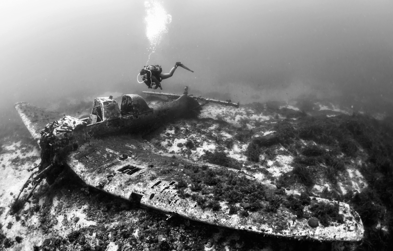 Ju 87 Stuka Zirje diving búvár