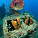 Guadeloupe diving