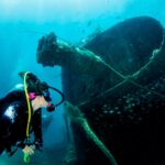 Avoud Wreck Red Sea Egypt Diver