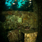 Avoud Wreck Red Sea Egypt Diver