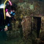 Avoud Wreck Red Sea Egypt Diver