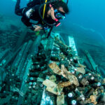 Avoud Wreck Red Sea Egypt Diver